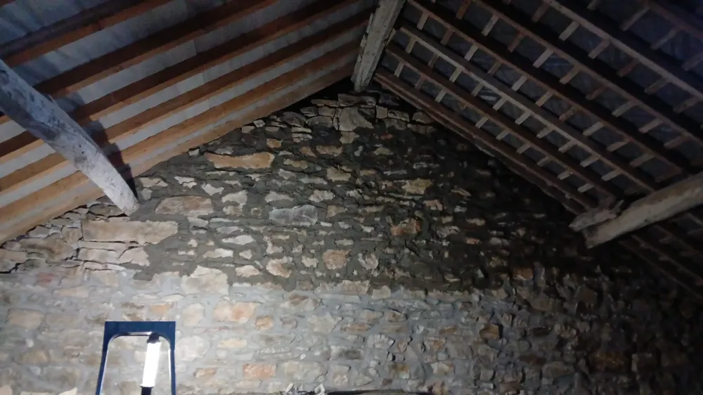 Rejointage et maconnerie de pierres (3)